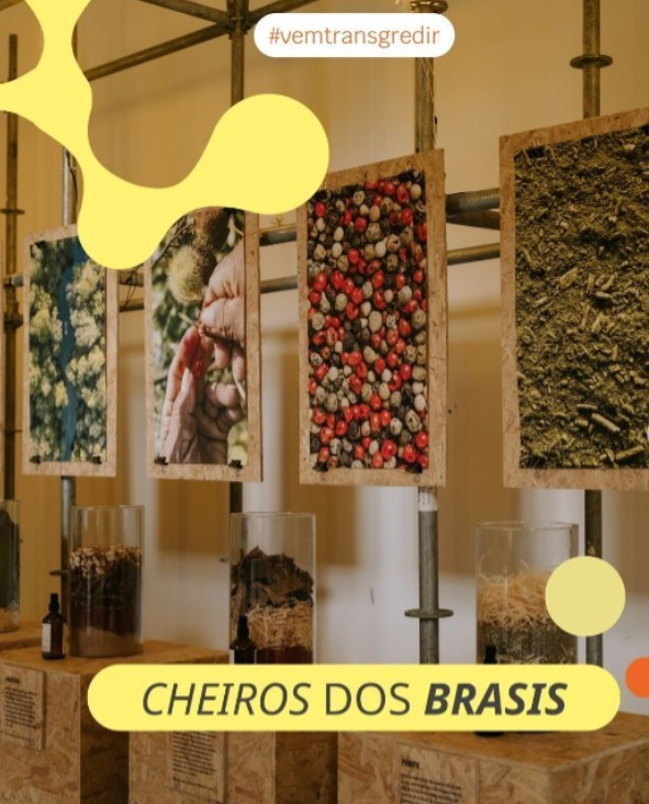 projeto-cheiros-dos-brasis